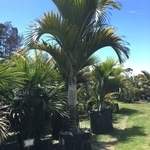image08