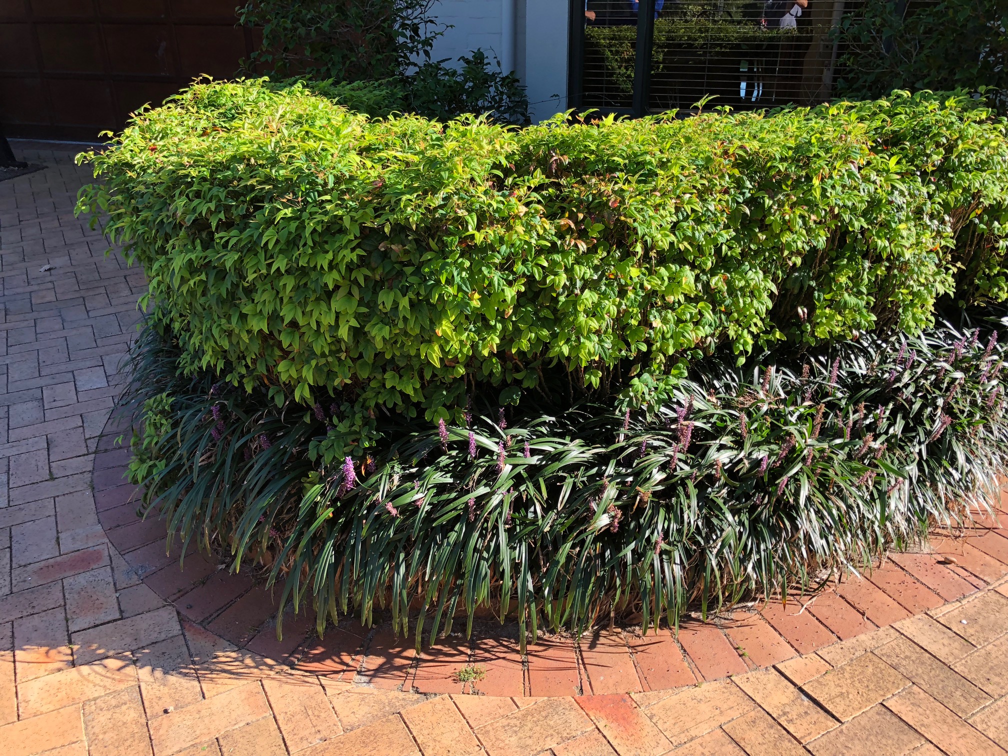 image02
