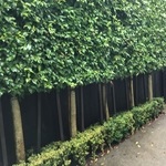 image01