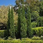 image08