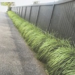 image03