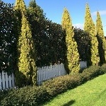 image07