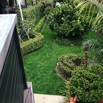 image08