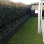 image02