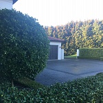 image05