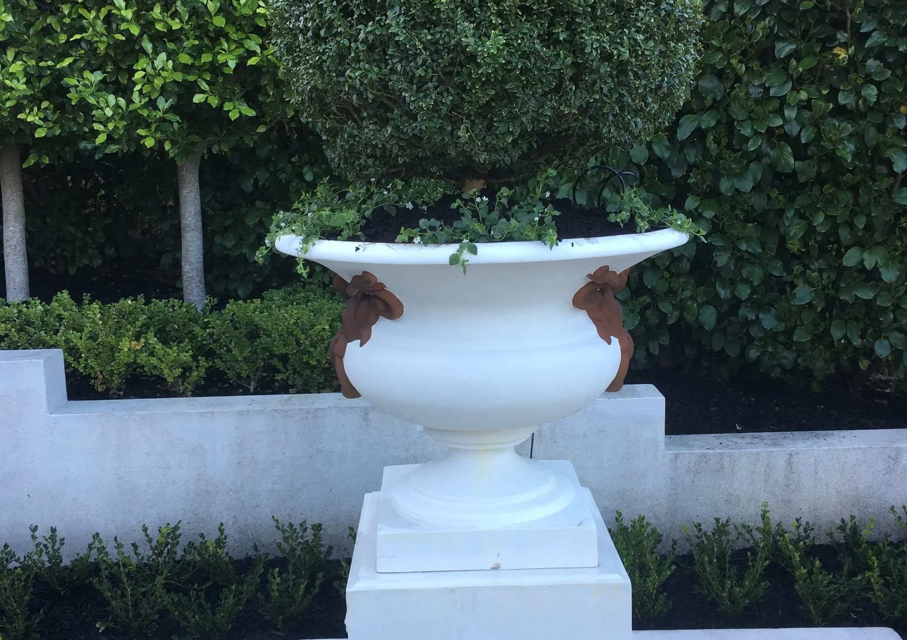 Urn and plinth framed by clipped hedging
