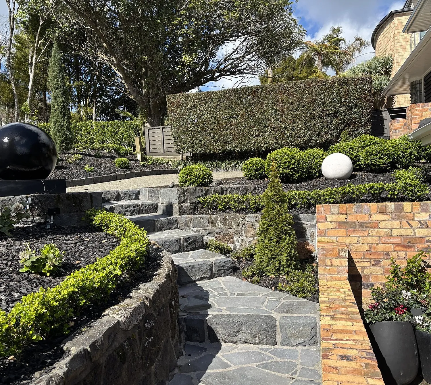 Terraced Auckland garden with stone steps, clipped hedging and schist retaining