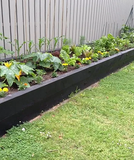 Raised vegetable bed in flower