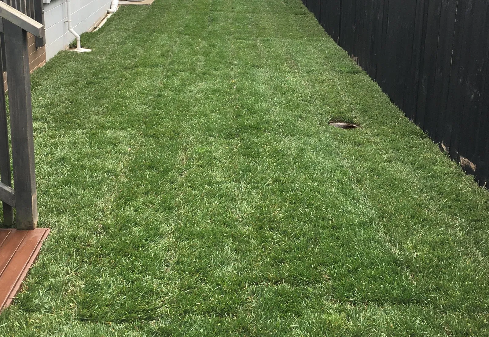 A newly laid lawn running the length of a side garden, still showing the turf seams