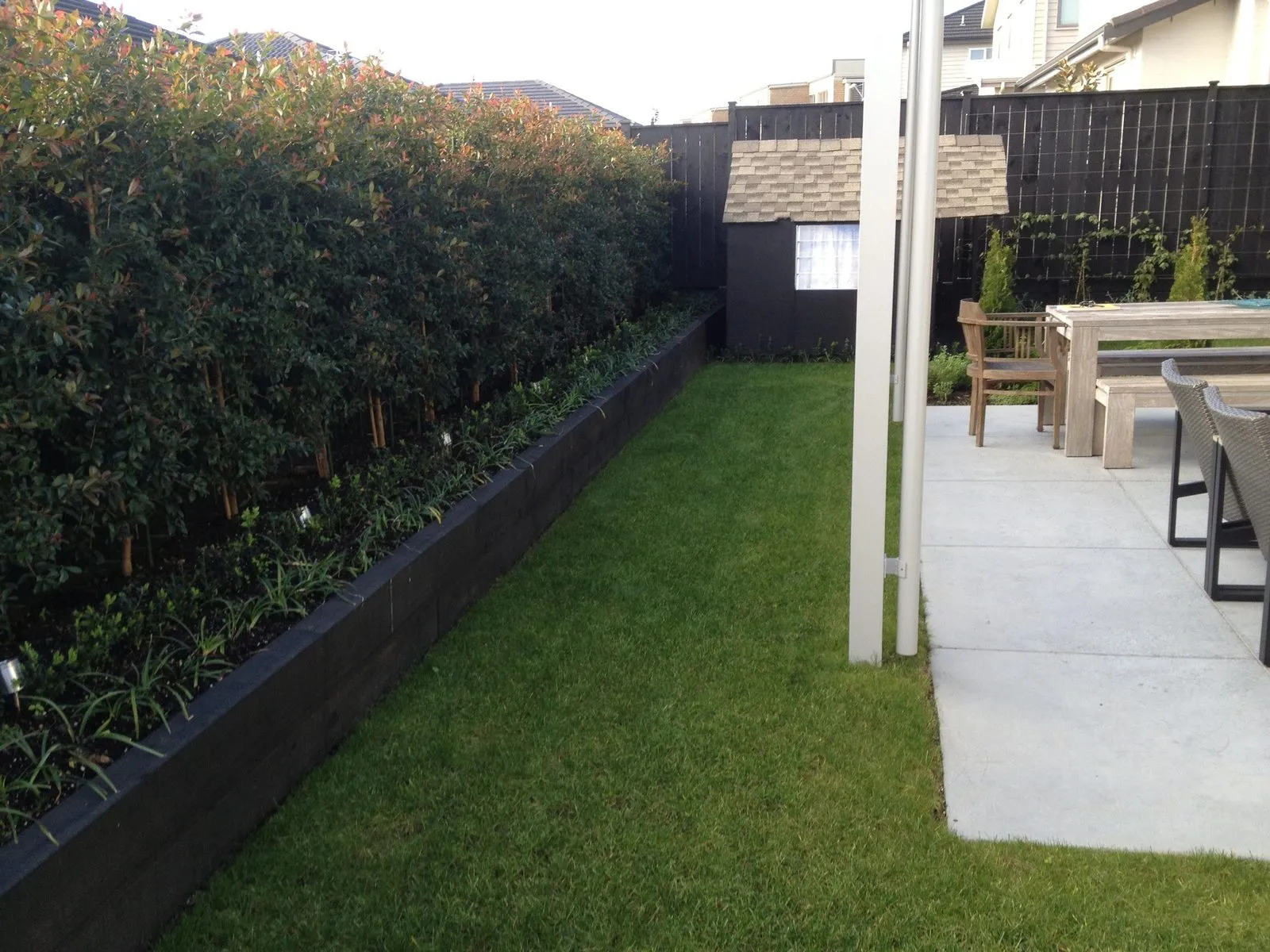 A narrow lawn running between a clipped hedge and a planter