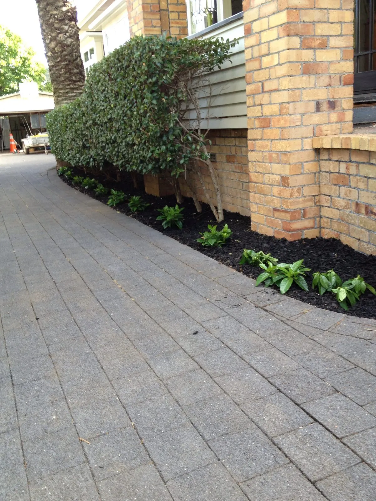 A paved path with a planted strip against a brick wall