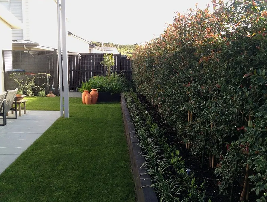 Lawn, screening hedge and a planted terrace